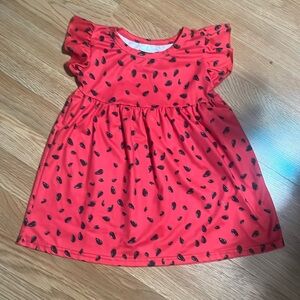 Watermelon Tunic top sz 4t
